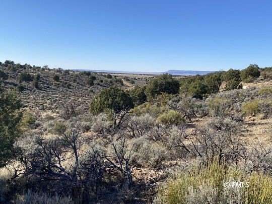 40 Acres of Land for Sale in Fredonia, Arizona