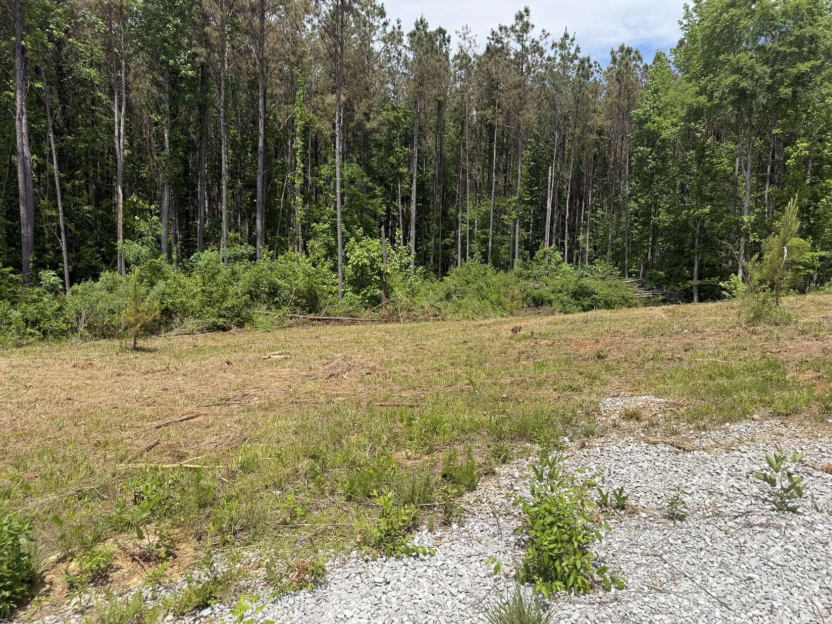 3 Acres of Residential Land for Sale in Mantachie, Mississippi