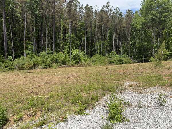 3 Acres of Residential Land for Sale in Mantachie, Mississippi