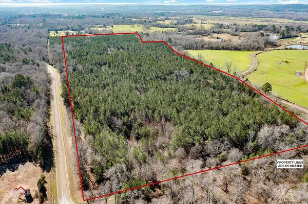 41 Acres of Land for Sale in Timpson, Texas