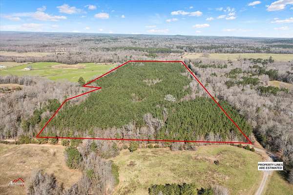 41 Acres of Land for Sale in Timpson, Texas