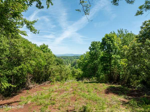 20 Acres of Land for Sale in Lenoir City, Tennessee
