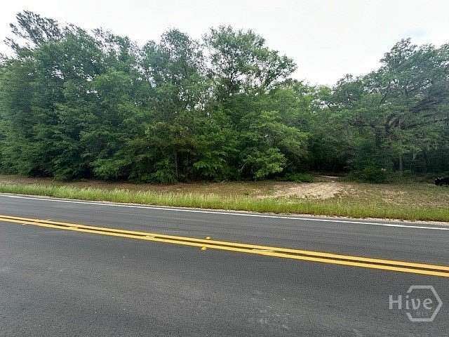 22.6 Acres of Recreational & Residential Land for Sale in Guyton, Georgia