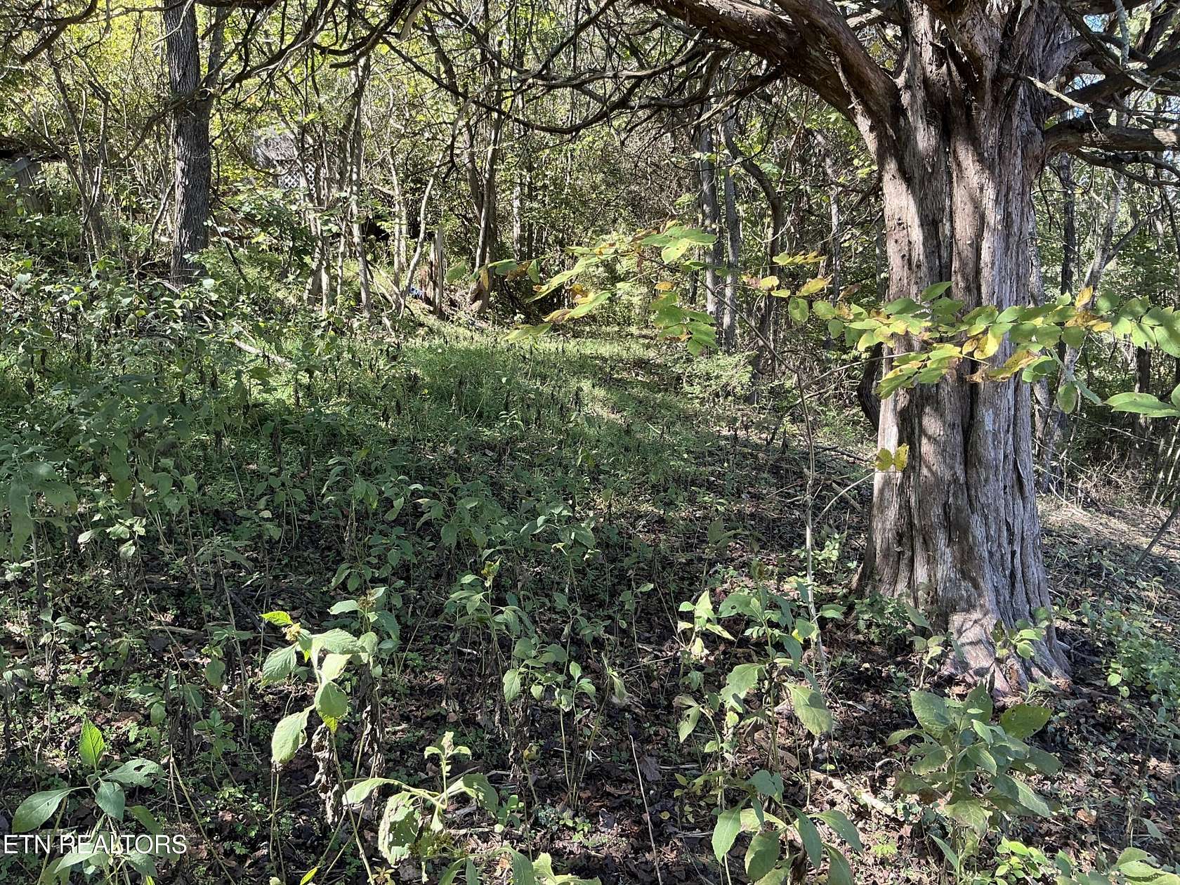 2.56 Acres of Residential Land for Sale in Powell, Tennessee