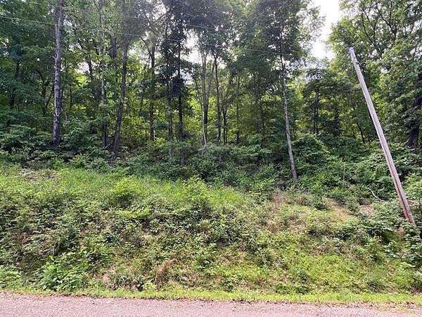 0.29 Acres of Residential Land for Sale in Holiday Island, Arkansas