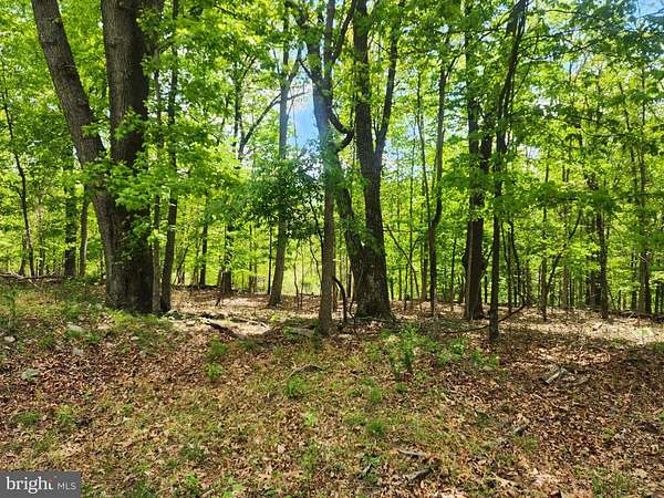 5 Acres of Residential Land for Sale in Berkeley Springs, West Virginia