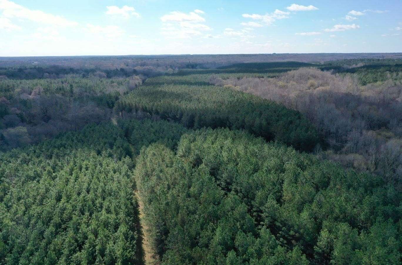 159 Acres of Land for Sale in Red Banks, Mississippi