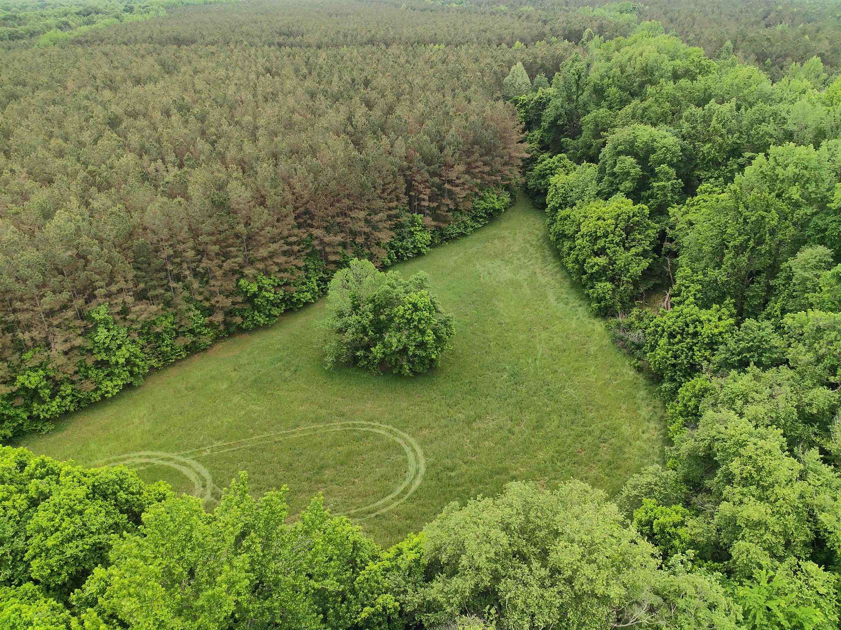 159 Acres of Land for Sale in Red Banks, Mississippi