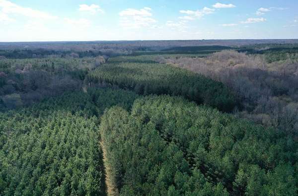 159 Acres of Land for Sale in Red Banks, Mississippi