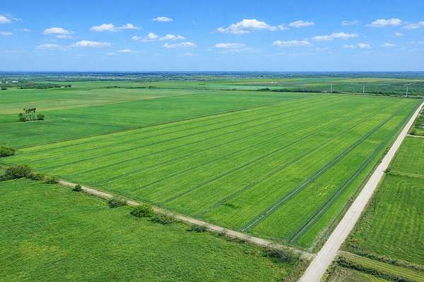 10 Acres of Land for Sale in Santa Rosa, Texas
