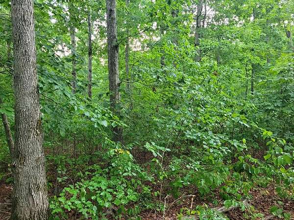 1 Acre of Residential Land for Sale in Wartrace, Tennessee