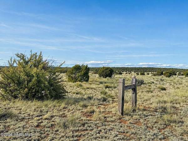 40 Acres of Recreational Land for Sale in Seligman, Arizona