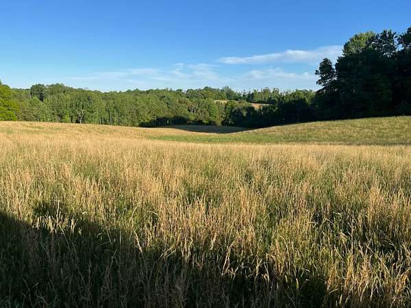 27.8 Acres of Land for Sale in Edmonton, Kentucky