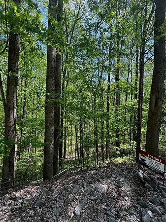 0.41 Acres of Residential Land for Sale in Smithville, Tennessee