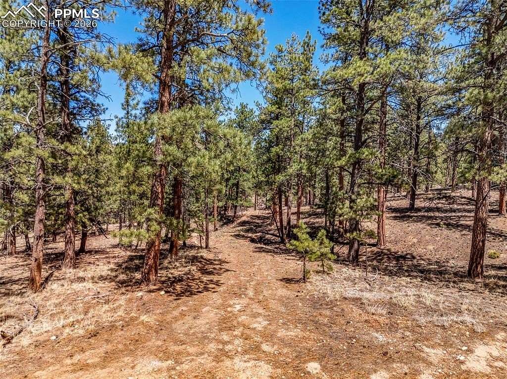 7.8 Acres of Residential Land for Sale in Westcliffe, Colorado