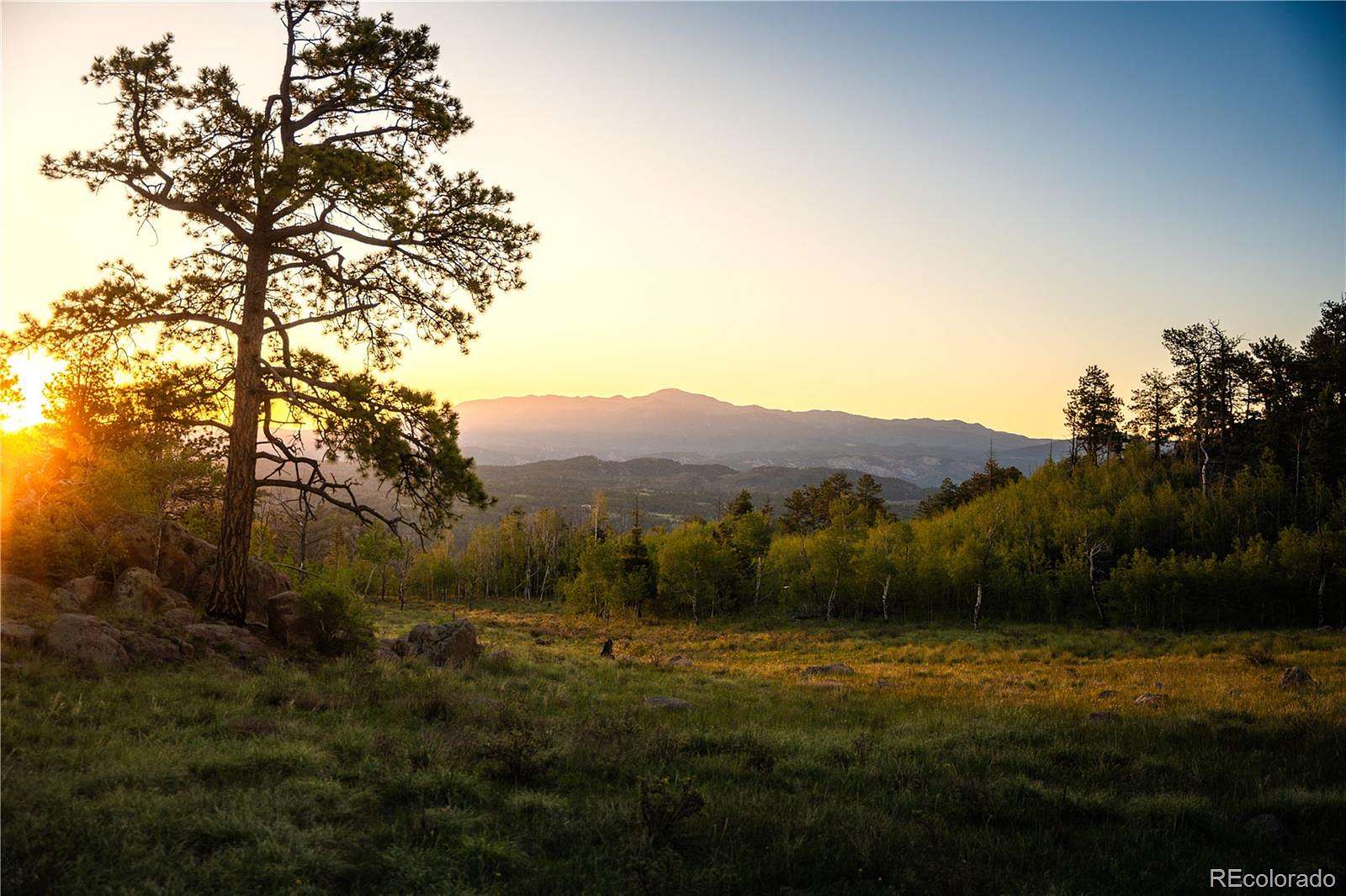 645 Acres of Land for Sale in Florissant, Colorado