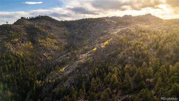 645 Acres of Land for Sale in Florissant, Colorado