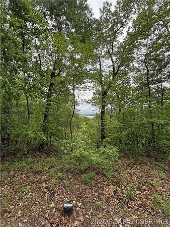2.2 Acres of Residential Land for Sale in Gravois Mills, Missouri