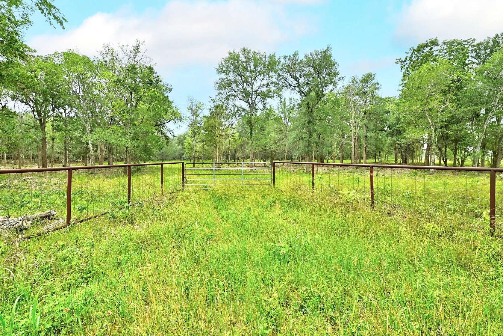 13.5 Acres of Recreational & Residential Land for Sale in Lockhart, Texas