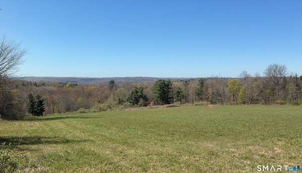 81 Acres of Agricultural & Residential Land for Sale in Washington, Connecticut