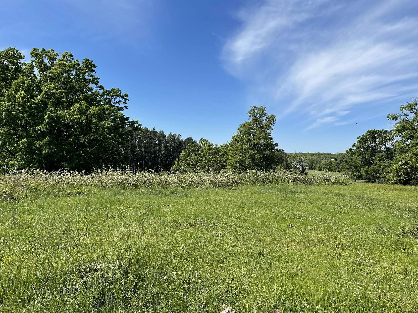 20 Acres of Land for Sale in West Plains, Missouri