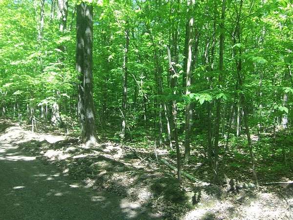 4.85 Acres of Land for Sale in Conrath, Wisconsin