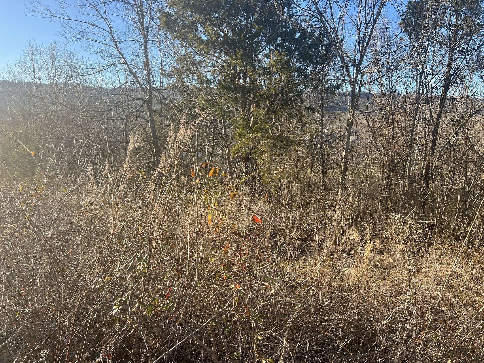 0.83 Acres of Land for Sale in Trenton, Georgia