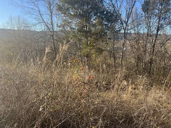 0.83 Acres of Land for Sale in Trenton, Georgia