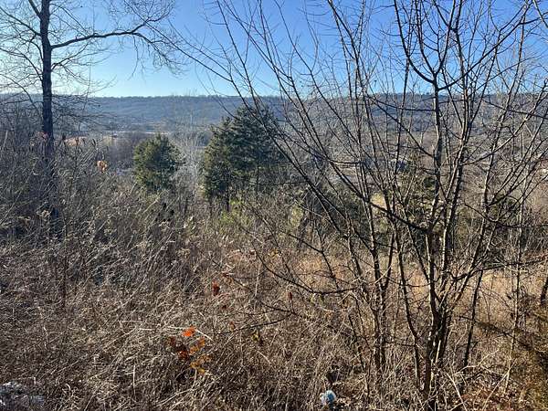 0.4 Acres of Residential Land for Sale in Trenton, Georgia