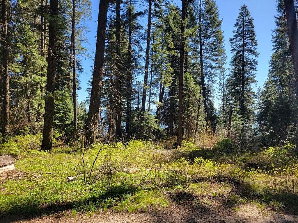 0.2 Acres of Residential Land for Sale in Cascade, Idaho