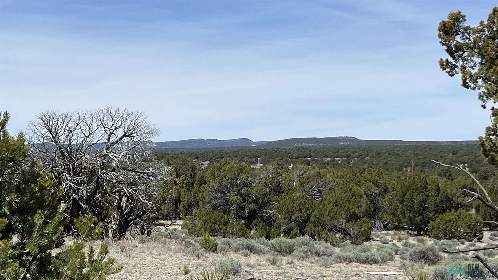 17.9 Acres of Land for Sale in Pie Town, New Mexico