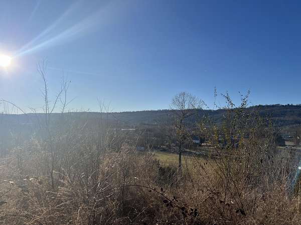 0.27 Acres of Residential Land for Sale in Trenton, Georgia