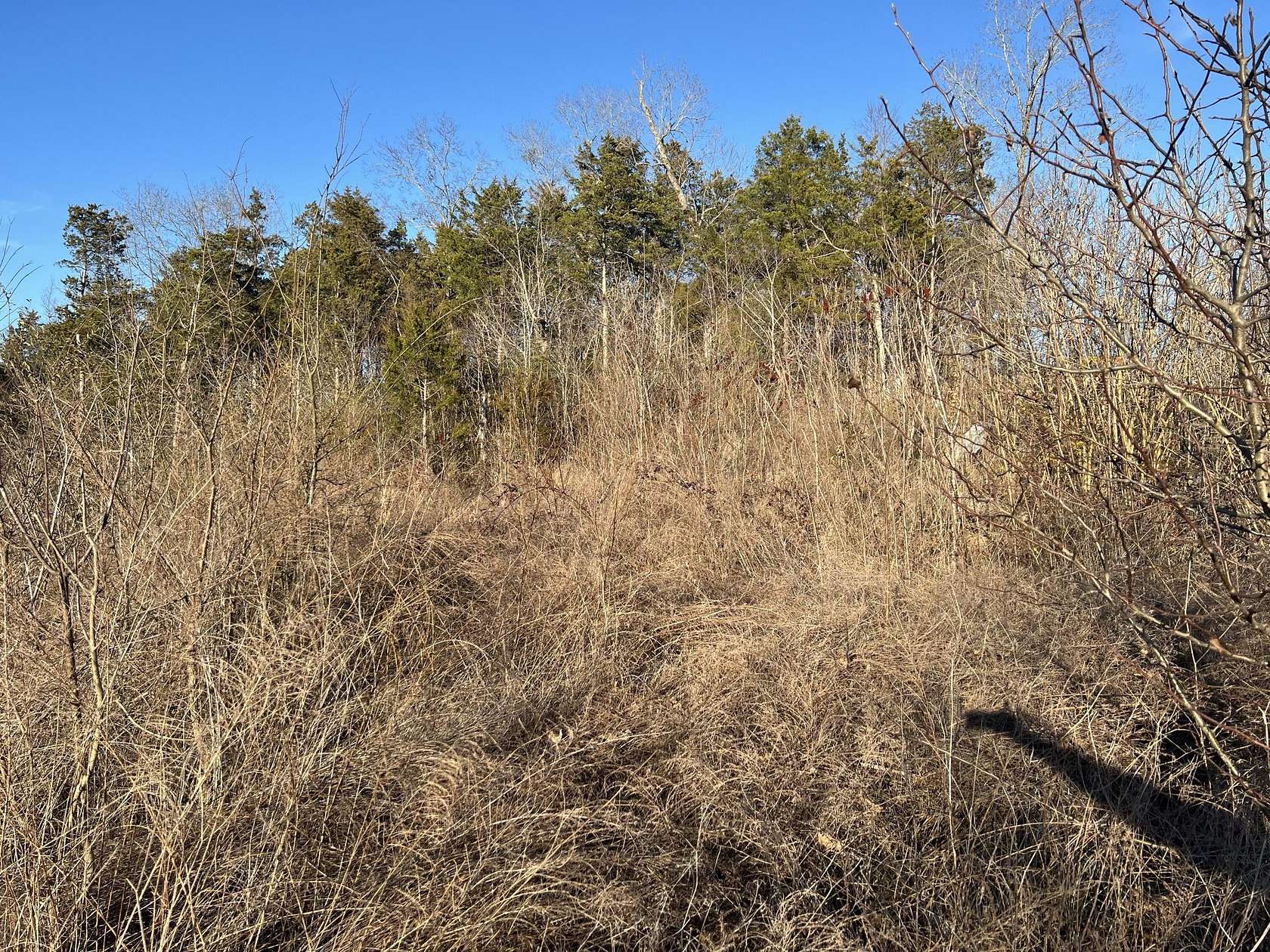 0.15 Acres of Residential Land for Sale in Trenton, Georgia