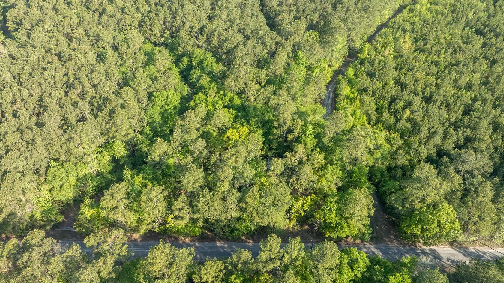 1.2 Acres of Residential Land for Sale in Andrews, South Carolina