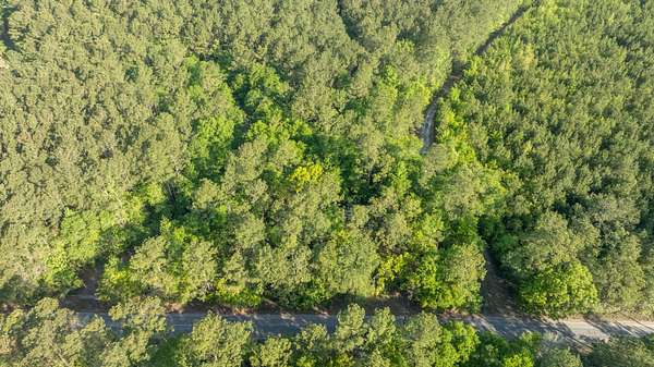 1.2 Acres of Residential Land for Sale in Andrews, South Carolina