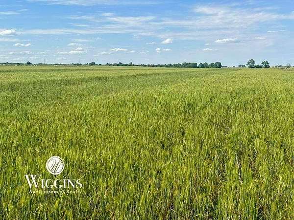 160 Acres of Agricultural & Residential Land for Sale in Enid, Oklahoma