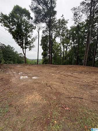 1.4 Acres of Land for Sale in Irondale, Alabama