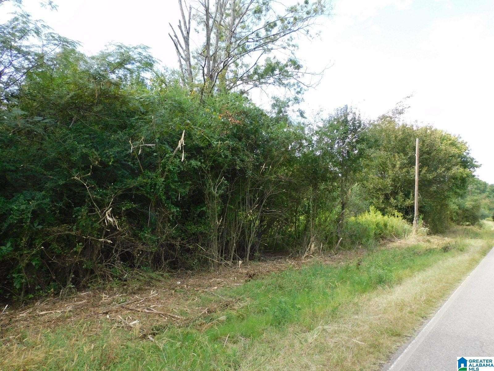 39 Acres of Land for Sale in Harpersville, Alabama