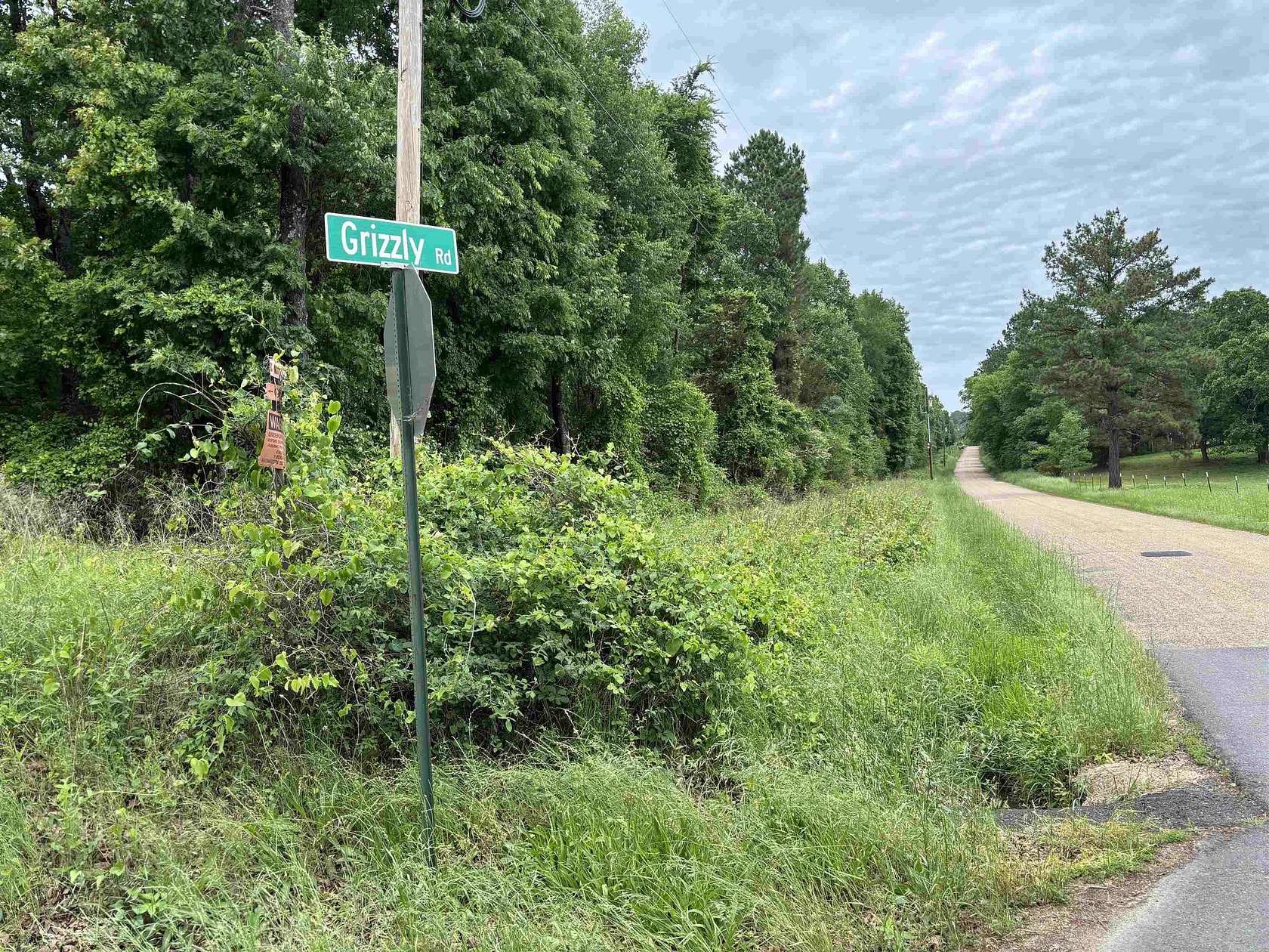 18.4 Acres of Land for Sale in Royal, Arkansas
