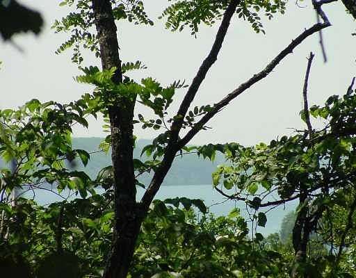0.2 Acres of Land for Sale in Garfield, Arkansas