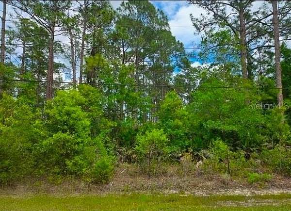 1.14 Acres of Residential Land for Sale in Bunnell, Florida