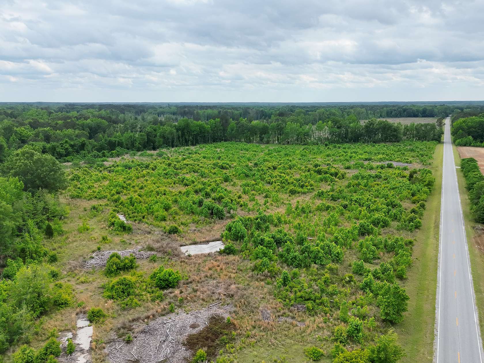 25.8 Acres of Land for Sale in Denmark, South Carolina
