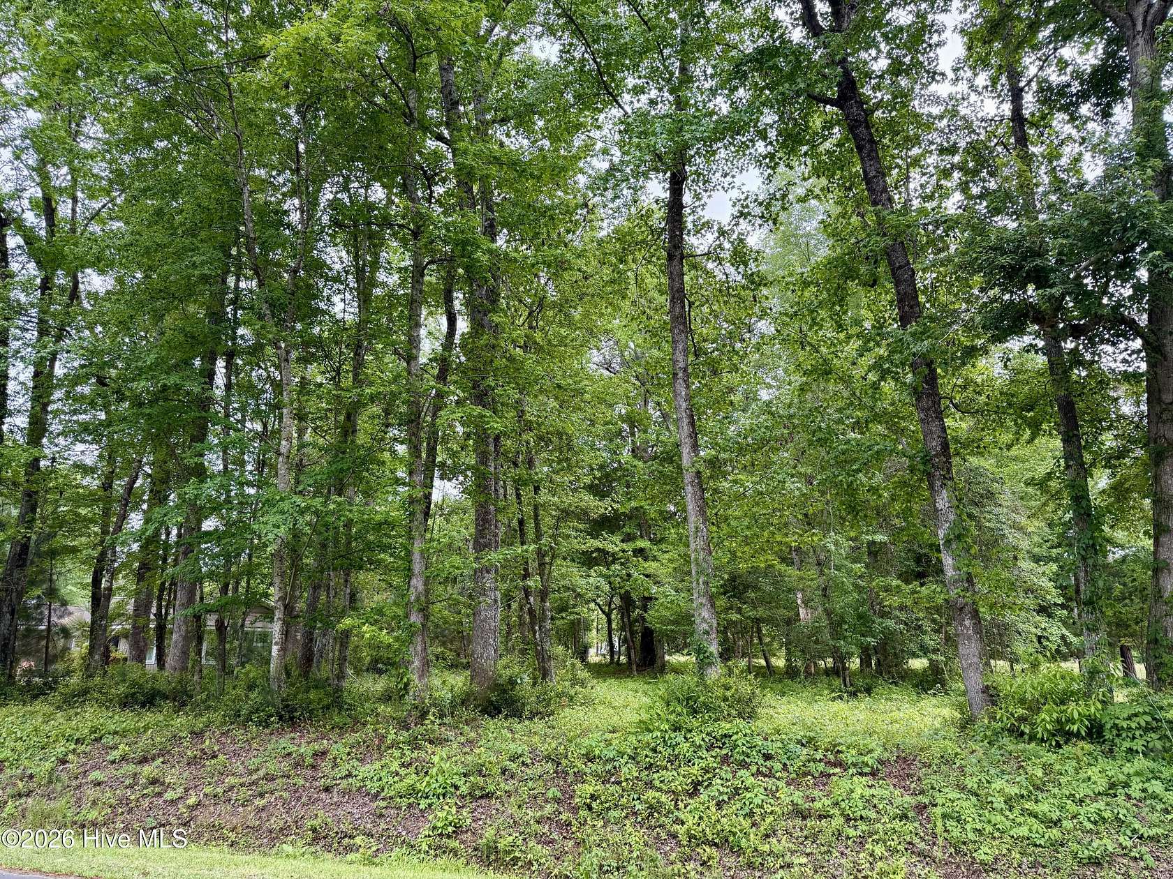 0.34 Acres of Residential Land for Sale in Carolina Shores, North Carolina