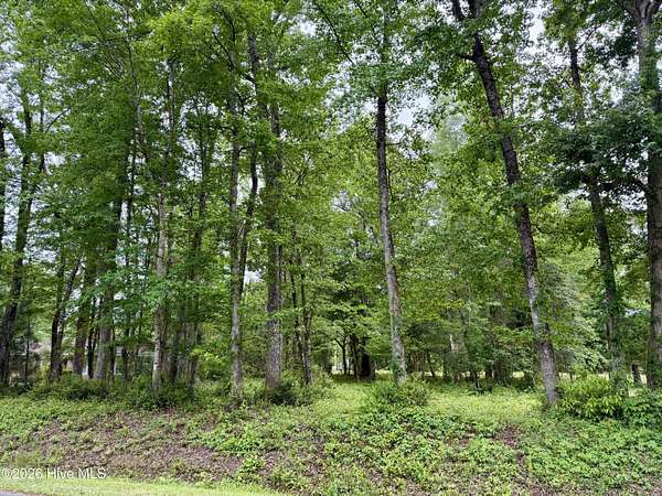 0.34 Acres of Residential Land for Sale in Carolina Shores, North Carolina