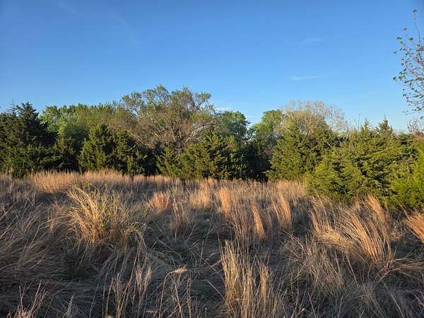49 Acres of Land for Sale in Alva, Oklahoma