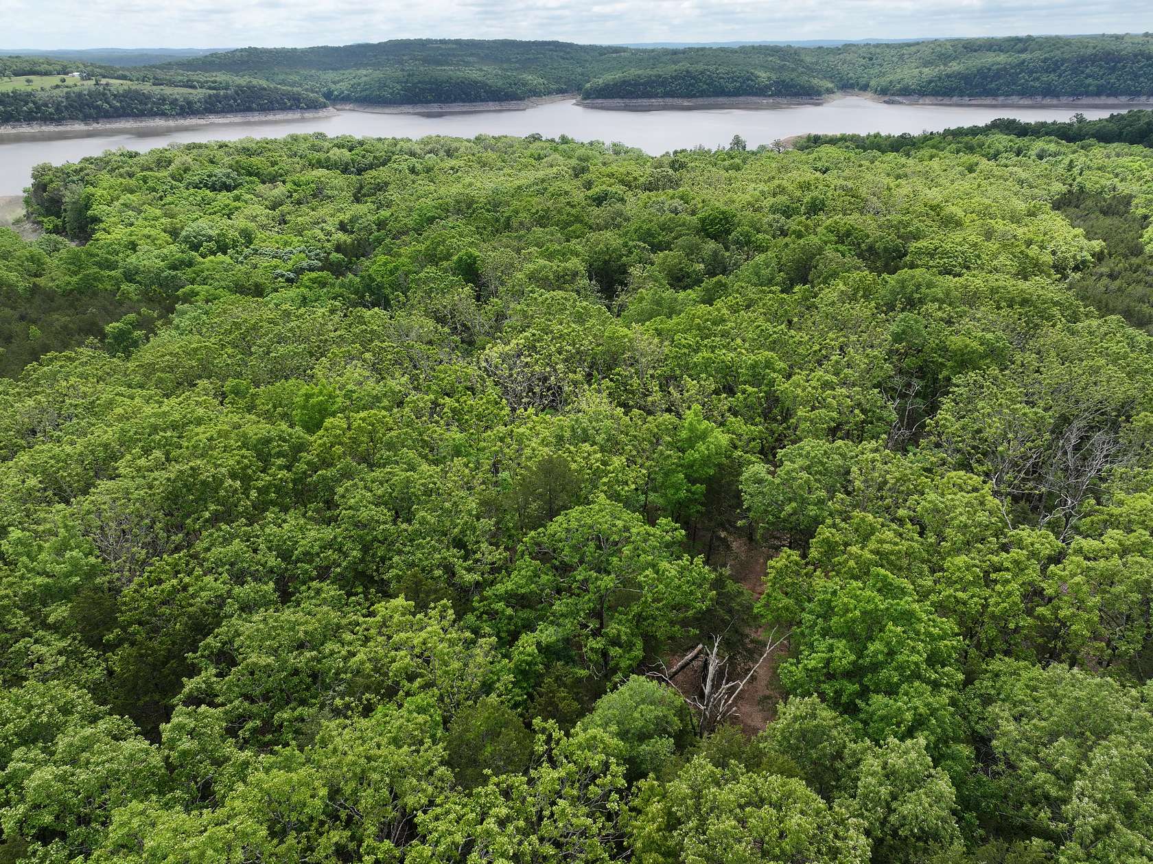 7.7 Acres of Agricultural Land for Sale in Cedarcreek, Missouri