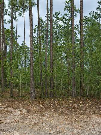 1.25 Acres of Land for Sale in Palatka, Florida