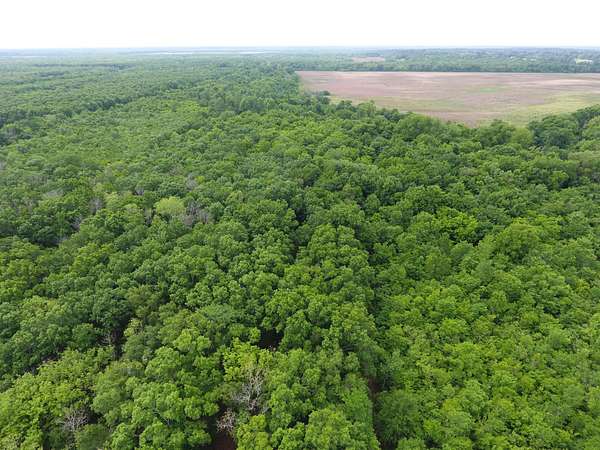 18.4 Acres of Recreational Land for Sale in Marksville, Louisiana