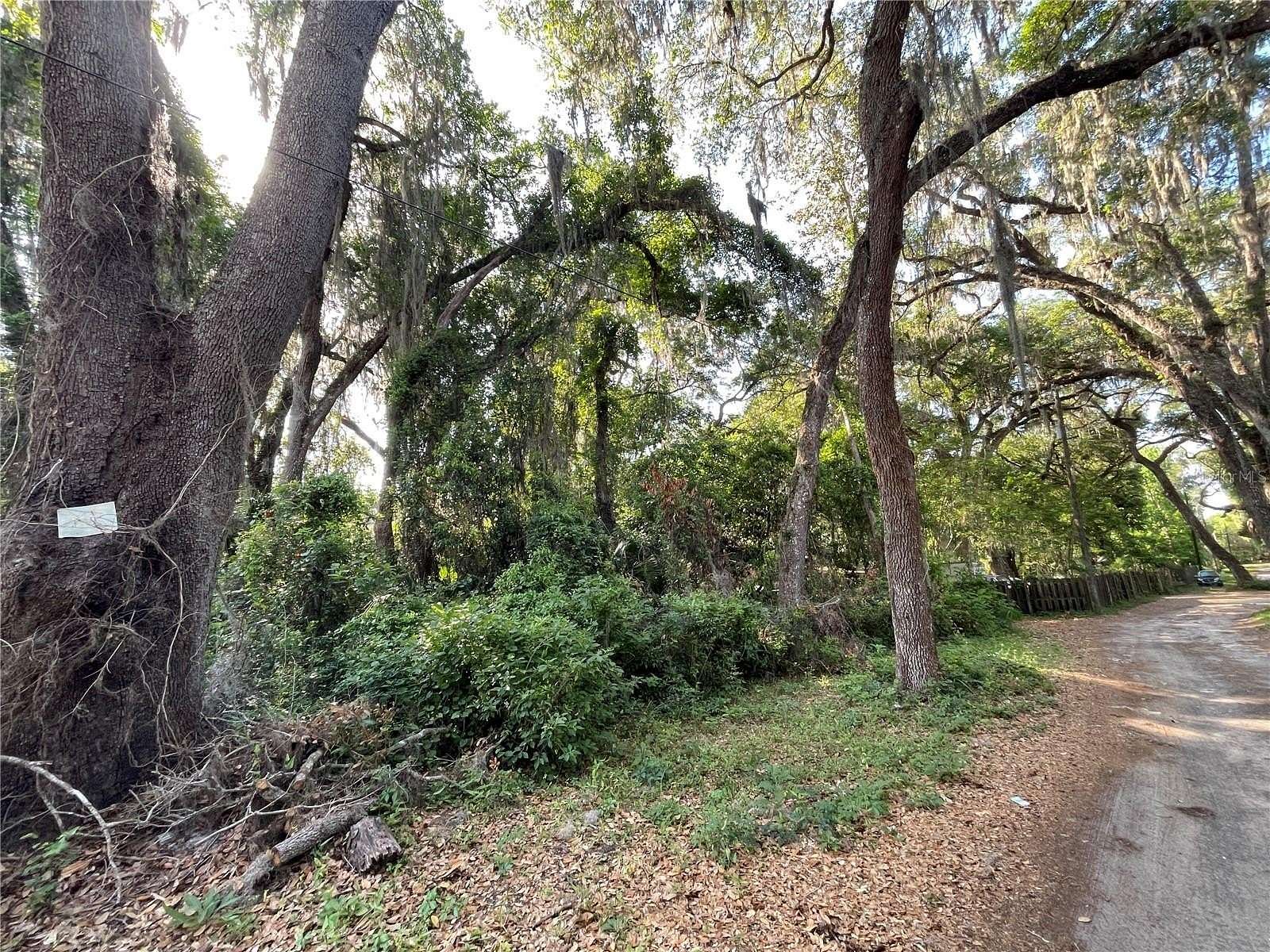 0.21 Acres of Residential Land for Sale in Citra, Florida