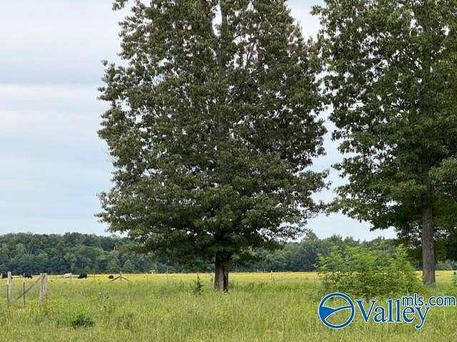 24 Acres of Agricultural & Residential Land for Sale in Athens, Alabama